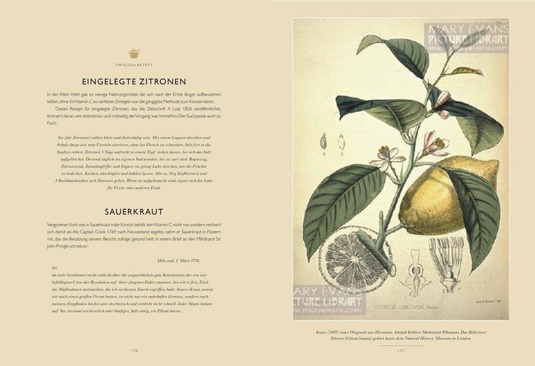 Produktbild: Das Festmahl der Eroberer