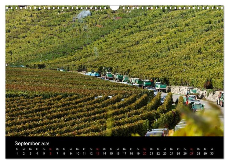 Produktbild: Das Jahr im Weinberg (Wandkalender 2026 DIN A3 quer), CALVENDO Monatskalender