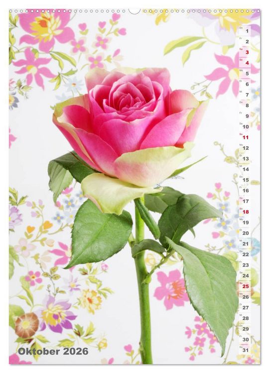 Produktbild: Sch&ouml;nste Rosen (Wandkalender 2026 DIN A2 hoch), CALVENDO Monatskalender