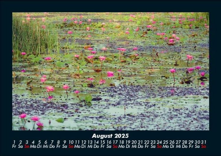 Produktbild: Rosen-Kalender 2025 Fotokalender DIN A5