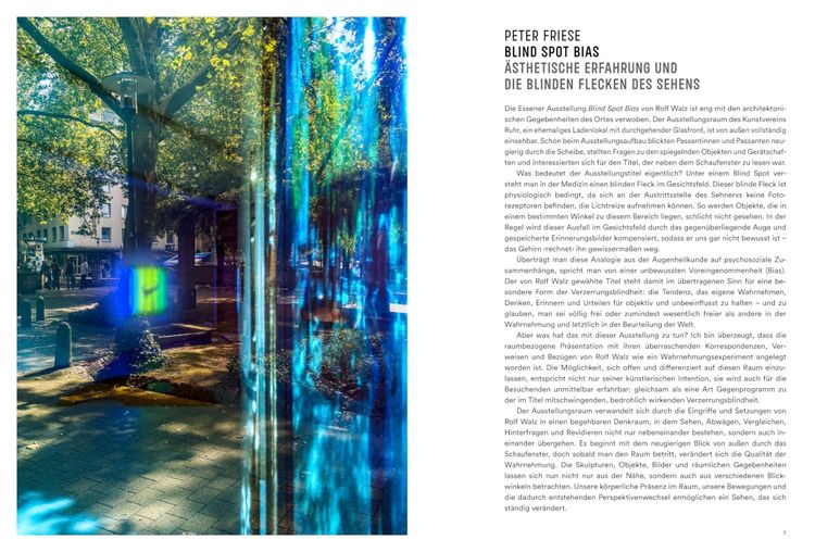 Produktbild: Rolf Walz. Blind Spot Bias