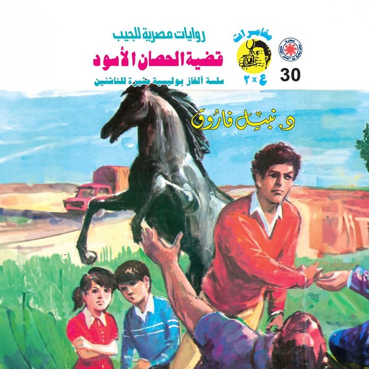 Produktbild: The dark horse case