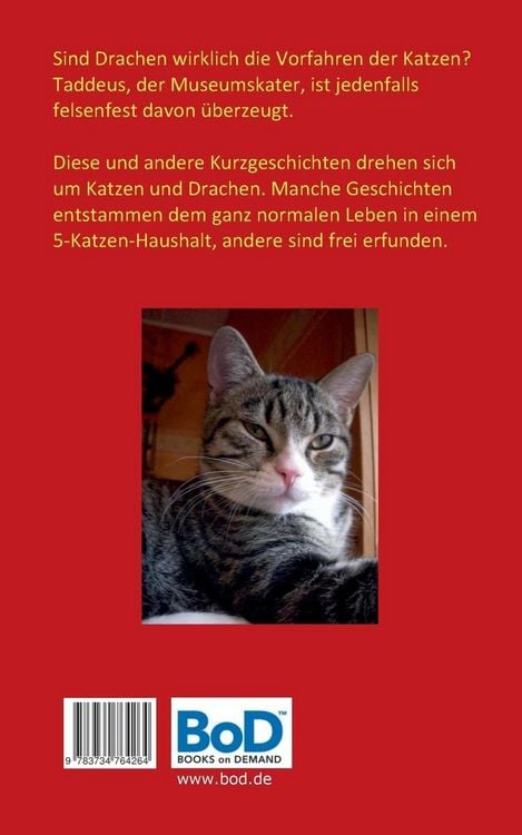 Produktbild: Katzen und Drachen