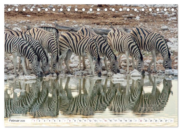 Produktbild: Afrika - Namibia (Tischkalender 2026 DIN A5 quer), CALVENDO Monatskalender