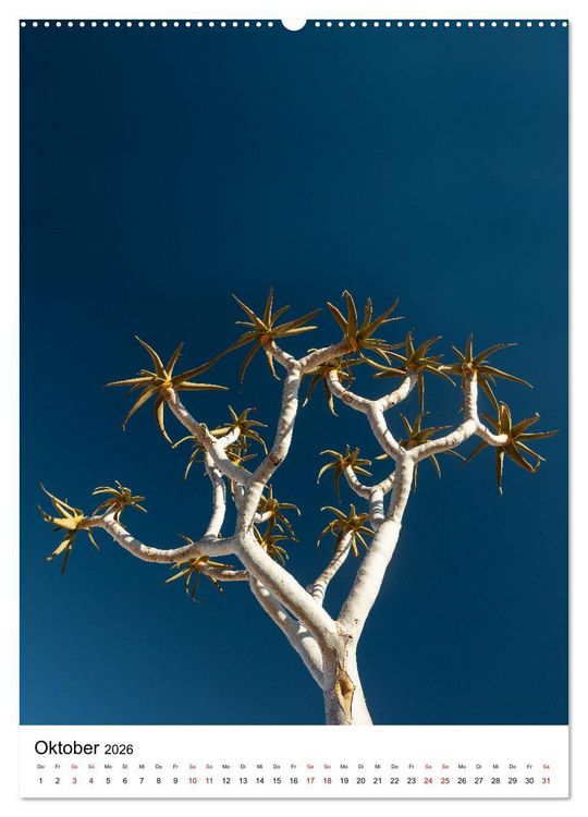 Produktbild: Naturparadies Namibia (hochwertiger Premium Wandkalender 2026 DIN A2 hoch), Kunstdruck in Hochglanz