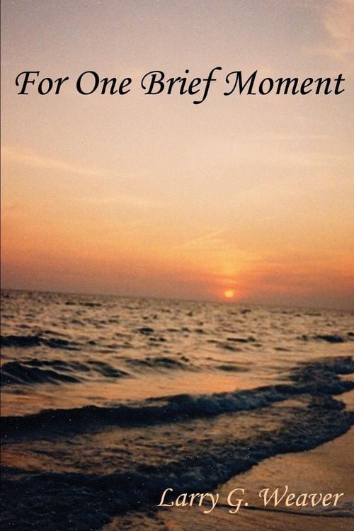 Produktbild: For One Brief Moment