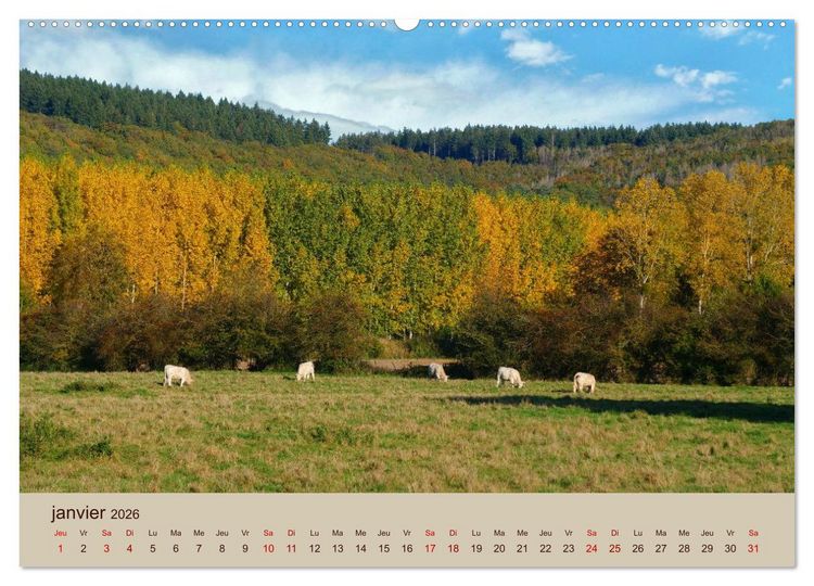 Produktbild: Paysages de l'Yonne (Calendrier mural 2026 DIN A2 vertical) calendrier de bureau