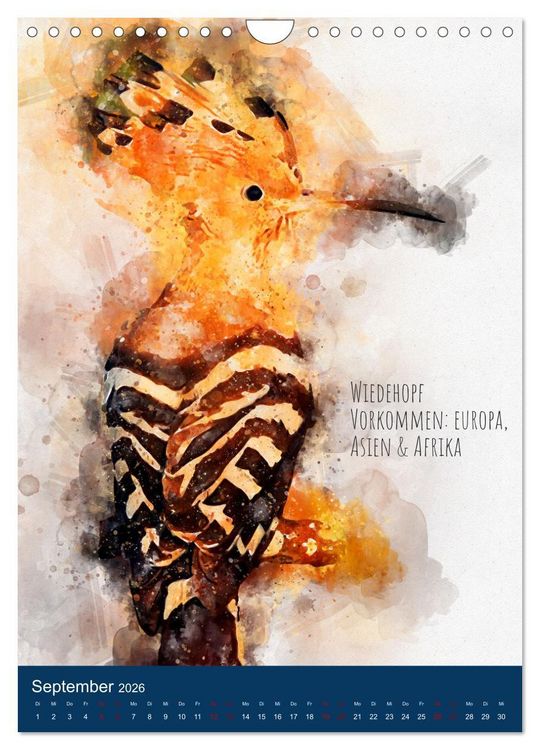 Produktbild: Exotische V&ouml;gel - Die Sch&ouml;nsten der Welt in Aquarell (Wandkalender 2026 DIN A4 hoch), CALVENDO Monatskalender