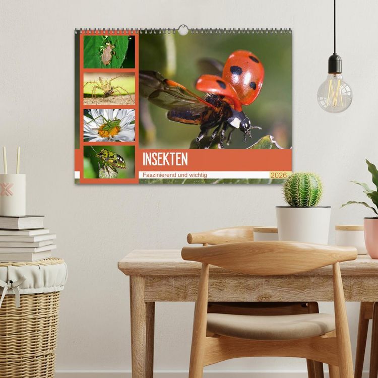 Produktbild: Insekten. Faszinierend und wichtig (Wandkalender 2026 DIN A3 quer), CALVENDO Monatskalender