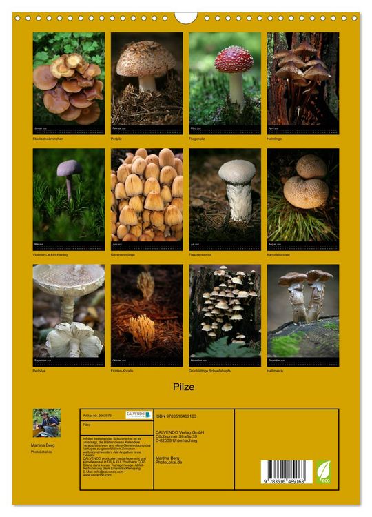 Produktbild: Pilze (Wandkalender 2026 DIN A3 hoch), CALVENDO Monatskalender