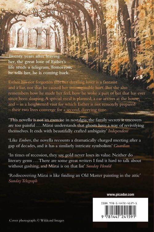Produktbild: Esther's Inheritance