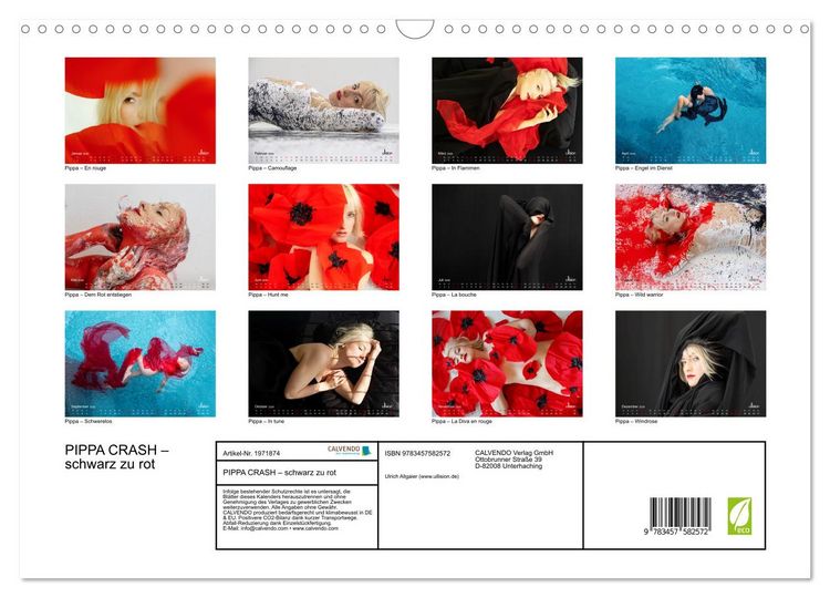 Produktbild: PIPPA CRASH &ndash; schwarz zu rot (Wandkalender 2026 DIN A3 quer), CALVENDO Monatskalender