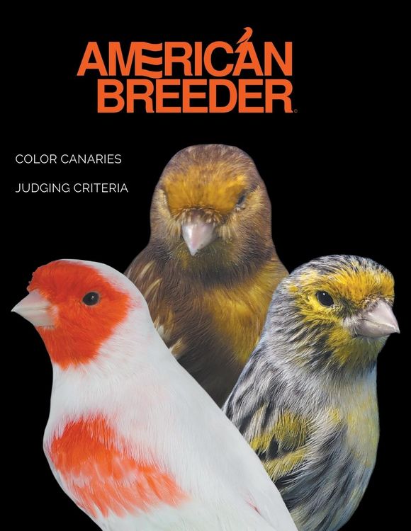Produktbild: American Breeder