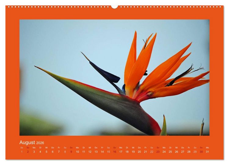 Produktbild: Aloha Bl&uuml;tenzauber aus Hawaii (hochwertiger Premium Wandkalender 2026 DIN A2 quer), Kunstdruck in Hochglanz