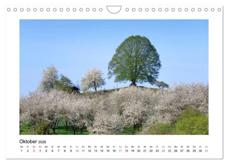 Produktbild: Kirschbl&uuml;te rund um Witzenhausen (Wandkalender 2026 DIN A4 quer), CALVENDO Monatskalender