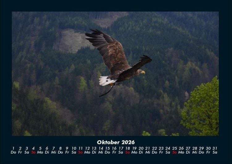 Produktbild: Adler 2026 Fotokalender DIN A4