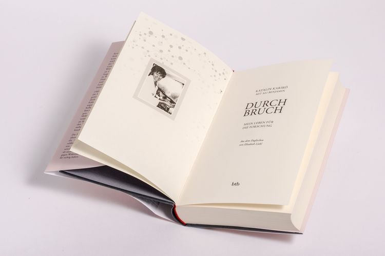 Produktbild: Durchbruch