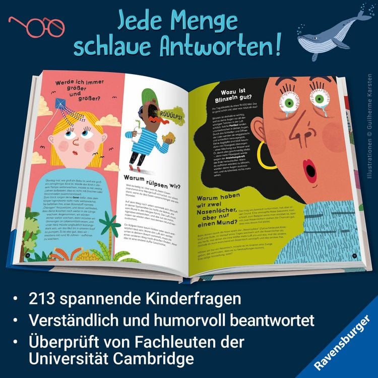 Produktbild: Dumme Fragen? Gibt es nicht!