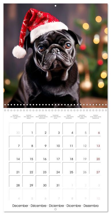Produktbild: PUGS Cute and cuddly doggies (Wall Calendar 2026 12 &times; 12 Inch) CALVENDO 12 Month Wall Calendar