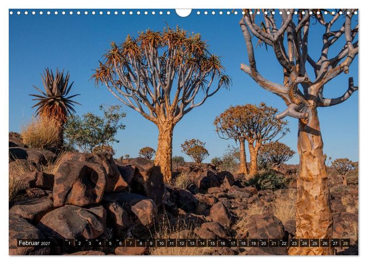 Produktbild: Zwischen Namib und Kalahari (Wandkalender 2027 DIN A3 quer), CALVENDO Monatskalender