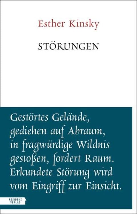 Bild vom Artikel Störungen vom Autor Esther Kinsky