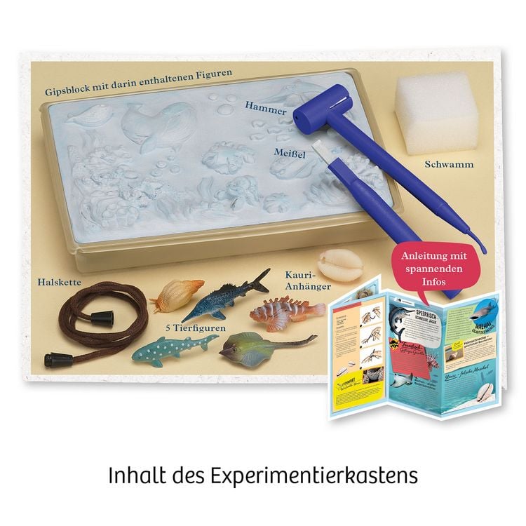 Produktbild: Meeres-Abenteuer