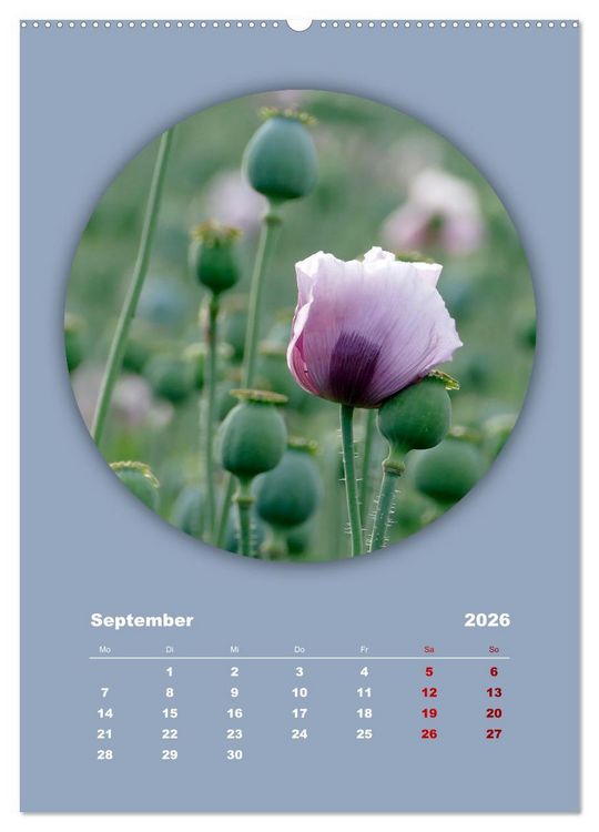 Produktbild: Rundherum Natur (hochwertiger Premium Wandkalender 2026 DIN A2 hoch), Kunstdruck in Hochglanz