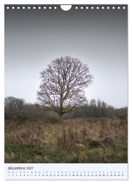 Produktbild: Arbres solitaires (Calendrier mural 2027 DIN A4 horizontal), CALVENDO calendrier mensuel