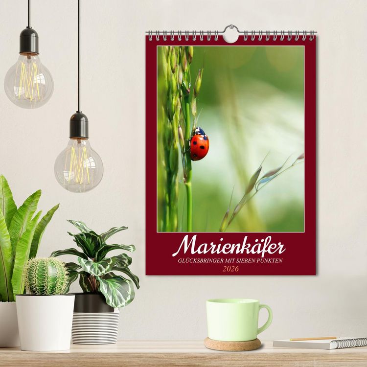 Produktbild: Marienk&auml;fer, Gl&uuml;cksbringer mit sieben Punkten (Wandkalender 2026 DIN A4 hoch), CALVENDO Monatskalender