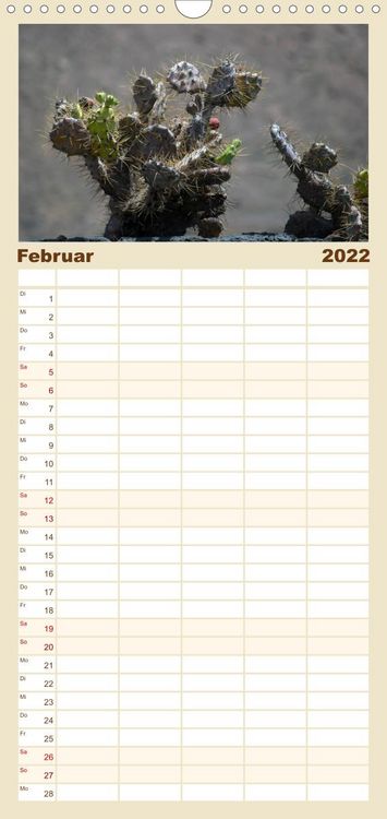 Produktbild: Familienplaner Faszination Kakteen (Wandkalender 2022 , 21 cm x 45 cm, hoch)