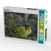 Produktbild: CALVENDO Puzzle Halsbandsittich 2000 Teile Lege-Gr&ouml;&szlig;e 67 x 90 cm Foto-Puzzle Bild von Dieter-M. Wilczek
