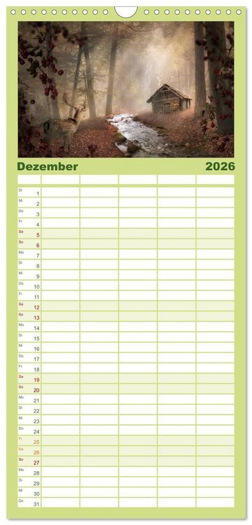 Produktbild: Familienplaner 2026 - Waldgeheimnisse mit 5 Spalten (Wandkalender, 21 x 45 cm) CALVENDO