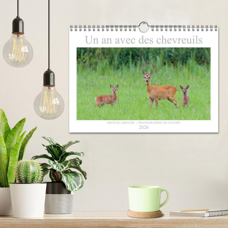 Produktbild: Un an avec des chevreuils (Calendrier mural 2026 DIN A4 vertical), CALVENDO calendrier mensuel