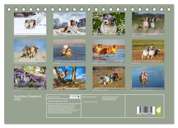 Produktbild: Australian Shepherd 2026 (Tischkalender 2026 DIN A5 quer), CALVENDO Monatskalender