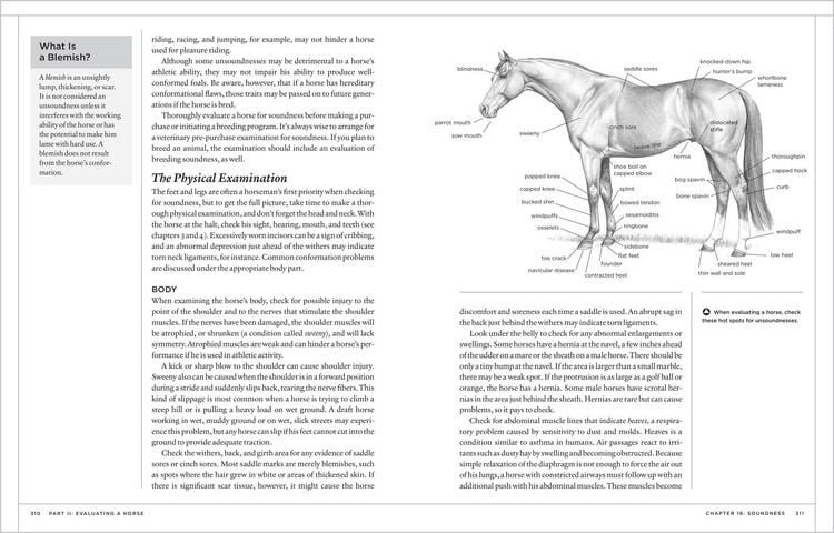 Produktbild: The Horse Conformation Handbook