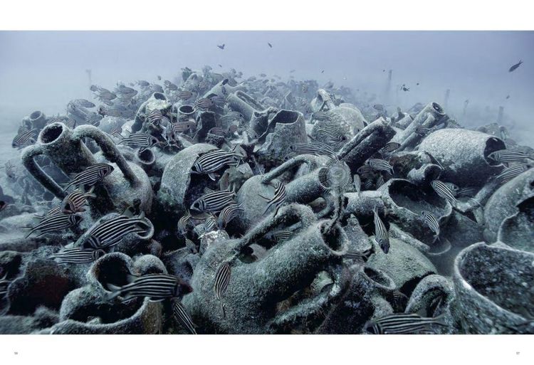 Produktbild: Rosa Barba. Impermanence in Fields