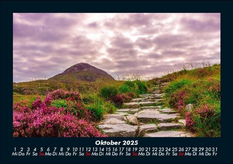 Produktbild: Blumenkalender 2025 Fotokalender DIN A5
