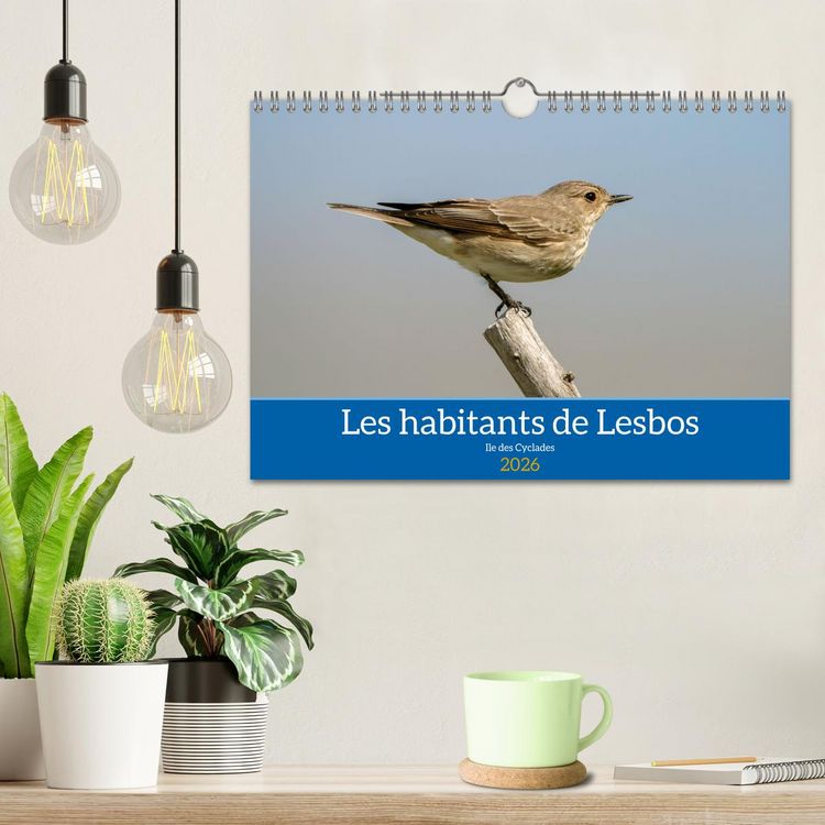 Produktbild: Les habitants de Lesbos Ile des cyclades (Calendrier mural 2026 DIN A4 vertical), CALVENDO calendrier mensuel