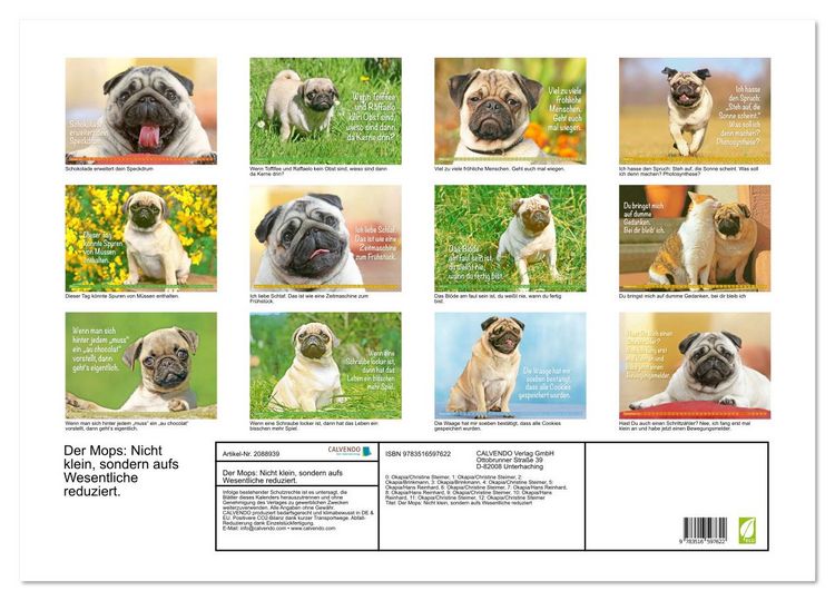 Produktbild: Der Mops: Nicht klein, sondern aufs Wesentliche reduziert. (Wandkalender 2026 DIN A2 quer), CALVENDO Monatskalender