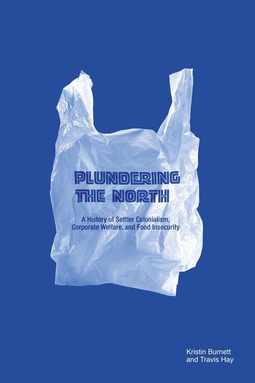 Produktbild: Plundering the North