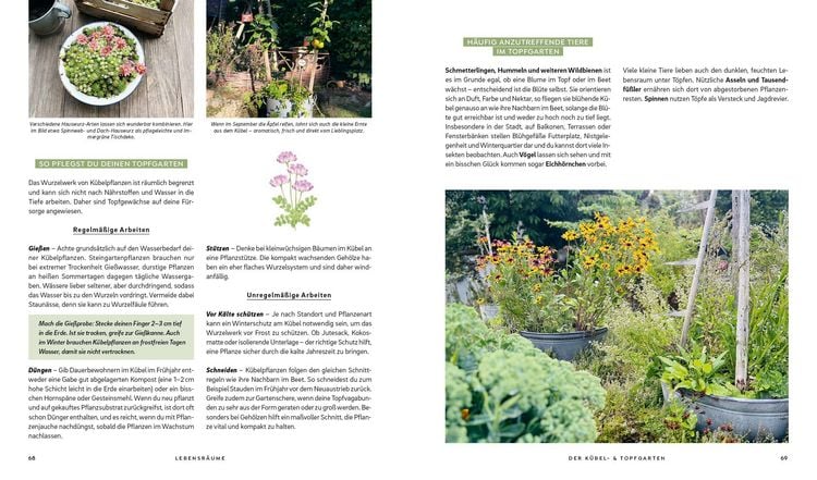 Produktbild: Mein wilder, bunter Garten &ndash;&nbsp;Einfach naturnah g&auml;rtnern