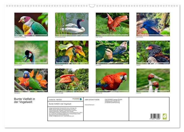 Produktbild: Bunte Vielfalt in der Vogelwelt (Wandkalender 2026 DIN A2 quer), CALVENDO Monatskalender