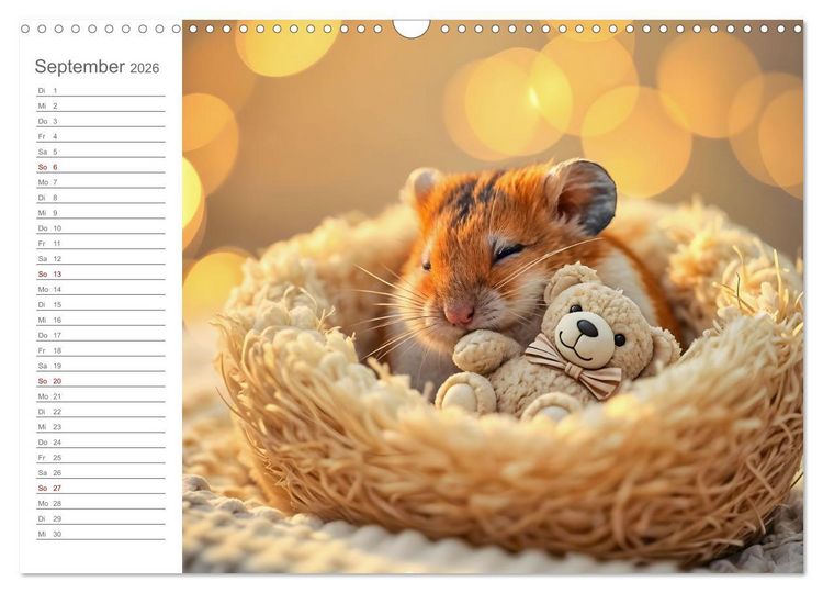 Produktbild: Spielzeit mit Schnuffel - Ein Hamster im Spielzeugparadies (Wandkalender 2026 DIN A3 quer), CALVENDO Monatskalender