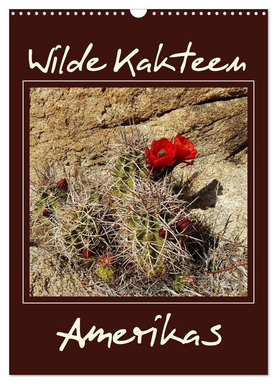 Produktbild: Wilde Kakteen Amerikas (Wandkalender 2026 DIN A3 hoch), CALVENDO Monatskalender