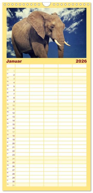 Produktbild: Familienplaner 2026 - Elefanten - Portraits der besonderen Art mit 5 Spalten (Wandkalender, 21 x 45 cm) CALVENDO