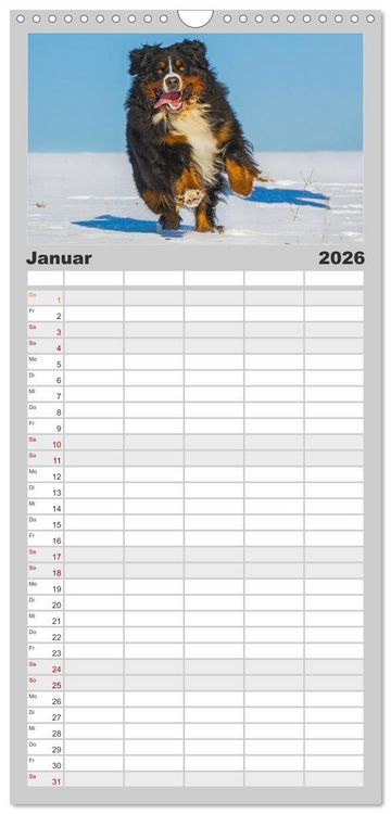 Produktbild: Familienplaner 2026 - Schweizer Sennenhunde - aus den Schweizer Alpen mit 5 Spalten (Wandkalender, 21 x 45 cm) CALVENDO