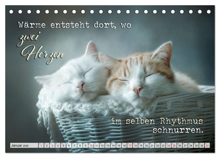 Produktbild: Katzenpoesie - Herzber&uuml;hrende Verse (Tischkalender 2026 DIN A5 quer), CALVENDO Monatskalender