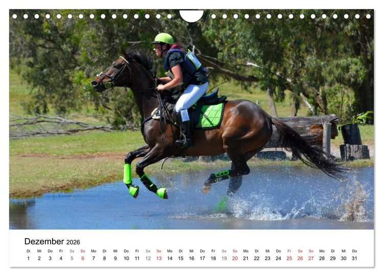 Produktbild: Vielseitigkeitsreiten (Wandkalender 2026 DIN A4 quer), CALVENDO Monatskalender