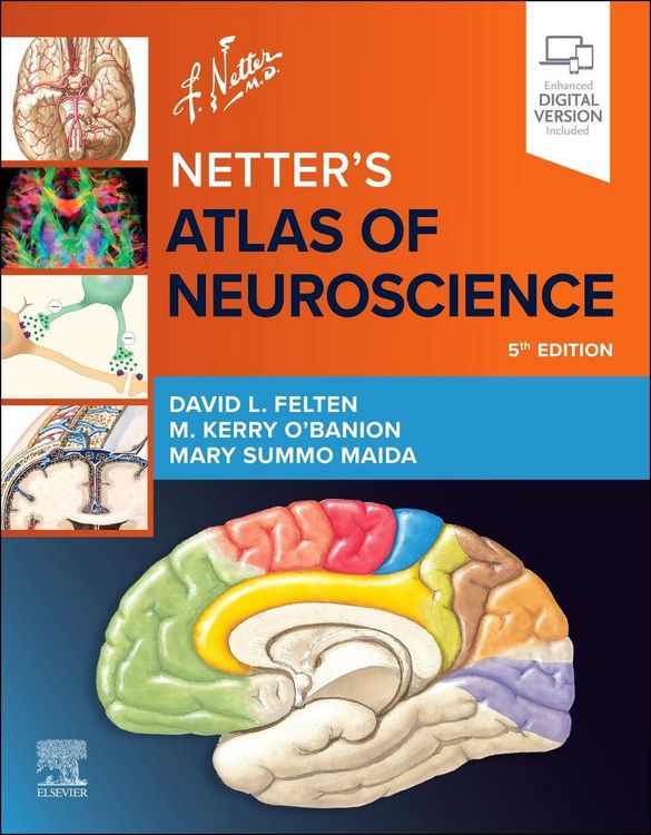 Produktbild: Netter's Atlas of Neuroscience