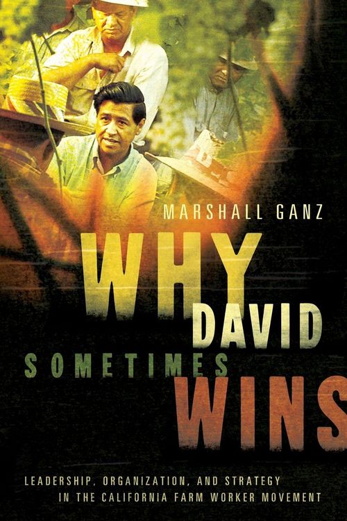 Produktbild: Why David Sometimes Wins
